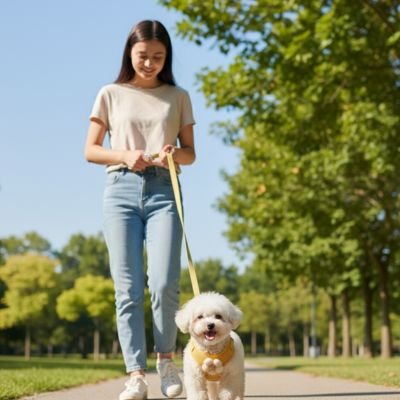shitzu portant Harnais pour petit Chien marche sur sentier avec dame