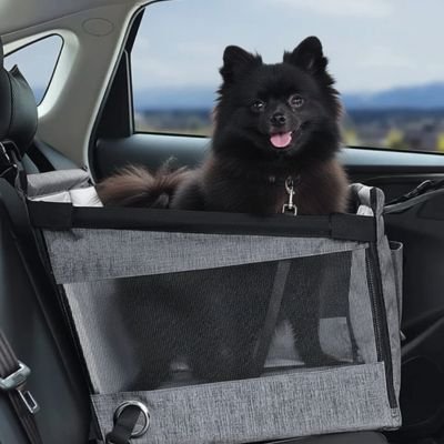 chien noir debout dans Siege auto chien sur banquette grise