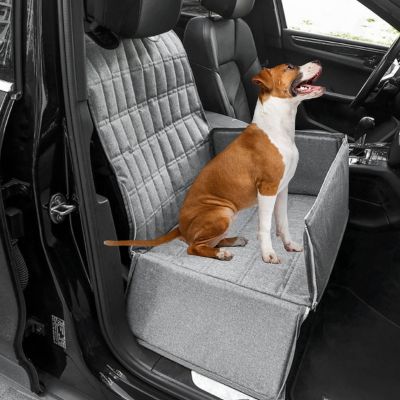 terrier assis dans siège auto chien gris sur banquette avant de voiture