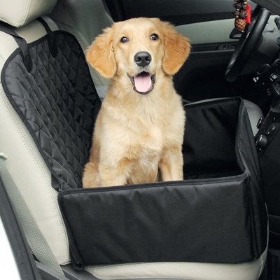 chiot golden retriever est assis dans Siege auto pour chien sur banquette grise