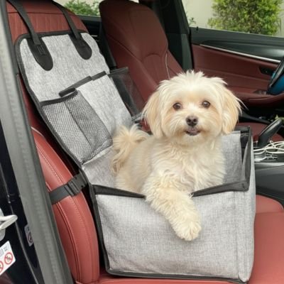 shitzu dans Siege auto pour chien sur banquette avant rouge