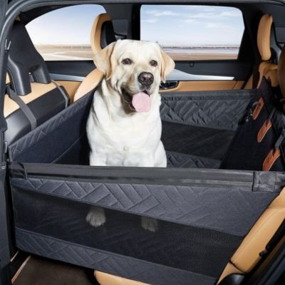 labrador blanc assis dans Siege auto pour chien sur banquette arrière beige