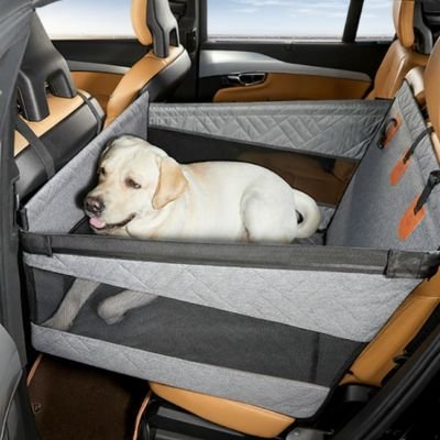 labrador blanc couché dans Siege auto pour chien sur banquette arrière beige