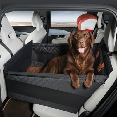 labrador chocolat couché dans Siege auto pour chien sur banquette arrière grise