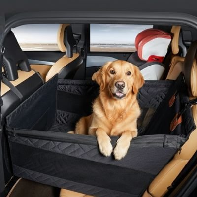 golden retriever couché dans Siege auto pour chien sur banquette arrière beige