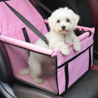 caniche blanc assis dans Siege auto pour chien sur banquette avant