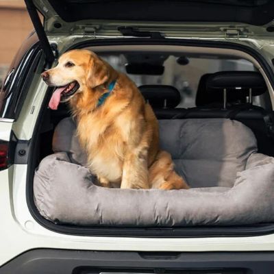 golden retriever assis sur siège auto pour chiens sur banquette arrière