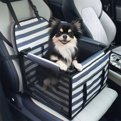 chihuahua noir assis dans Siège auto pour chiens ligné blanc et bleu
