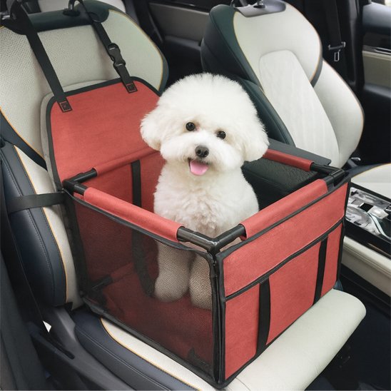 caniche blanc assis dans Siège auto pour chiens rouge