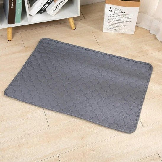 Tapis absorbant chien​ sur sol