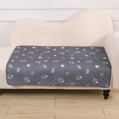 Tapis absorbant chien sur canapé blanc