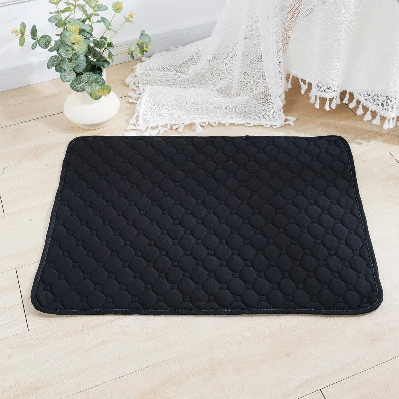 tapis absorbant chien noir sur sol bois