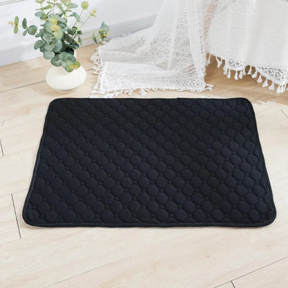 tapis absorbant chien noir sur sol bois