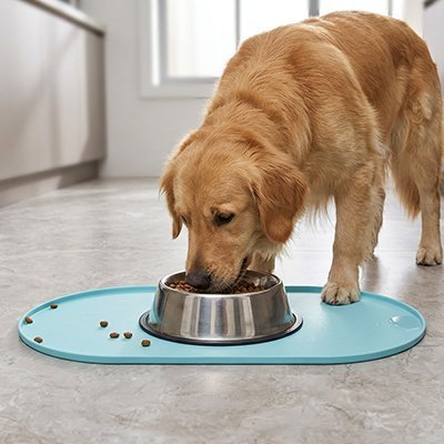 golden retriever mange sur Tapis gamelle bleu