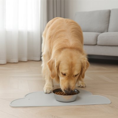 golden retriever mange sur Tapis gamelle Chien