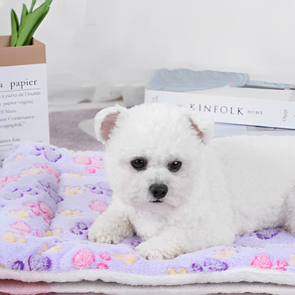 chien blanc sur tapis pour chien sur plancher