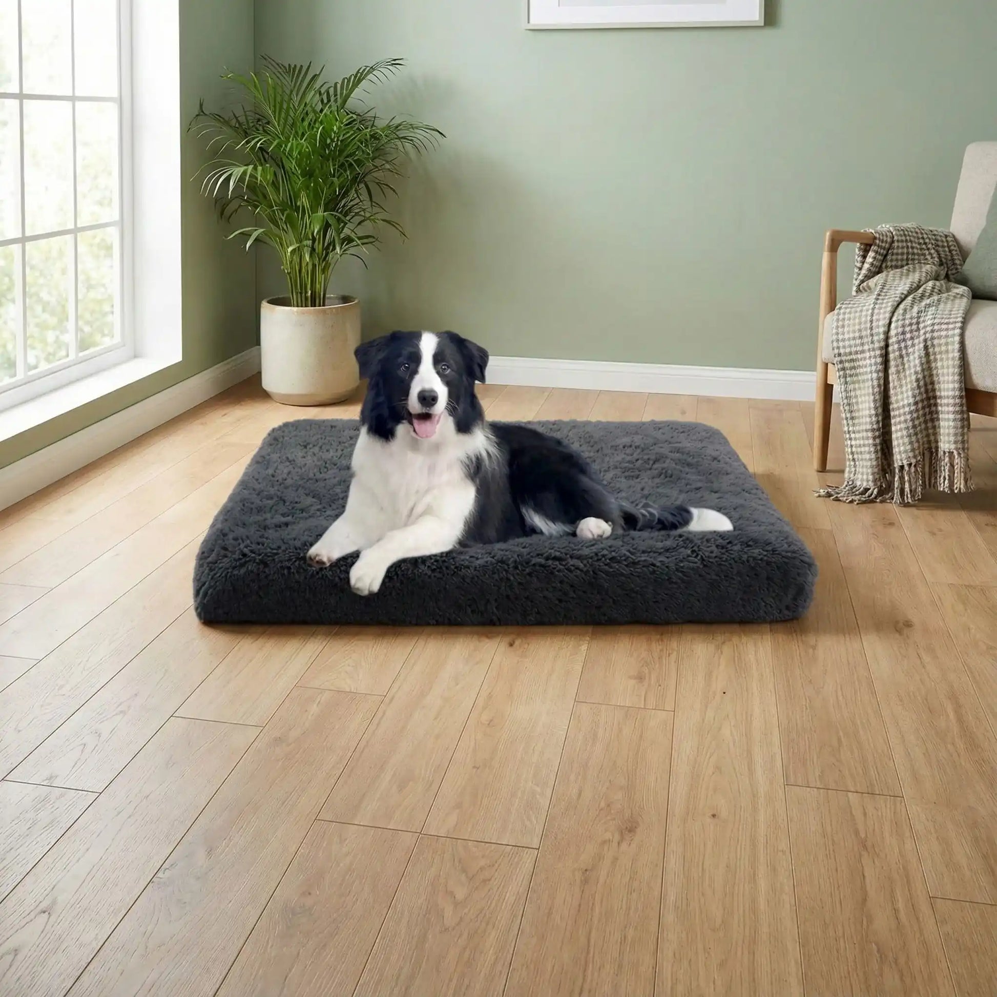 chien blanc et noir couché sur tapis pour chien sur sol de bois près de fenêtre