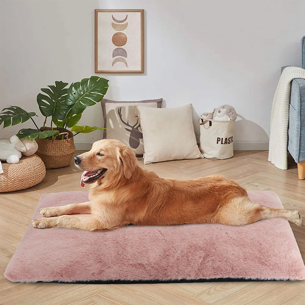 golden retriever couché sur tapis pour chien sur plancher