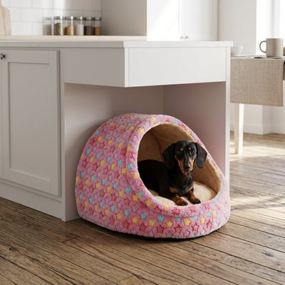 teckel dans Panier pour Chien rose