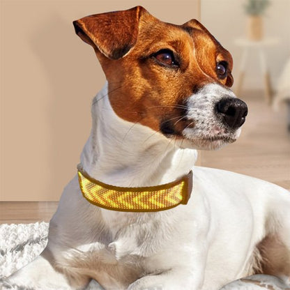 terrier portant collier lumineux chien est couche sur sol au salon