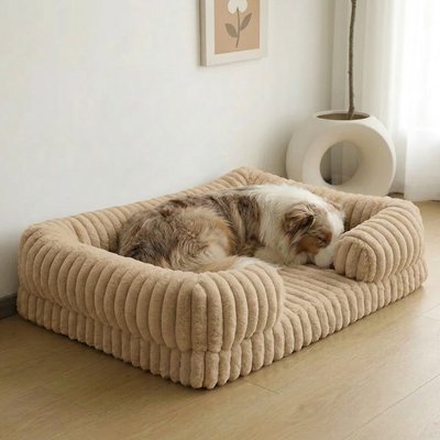 vieux chien dort dans Panier orthopédique Chien
