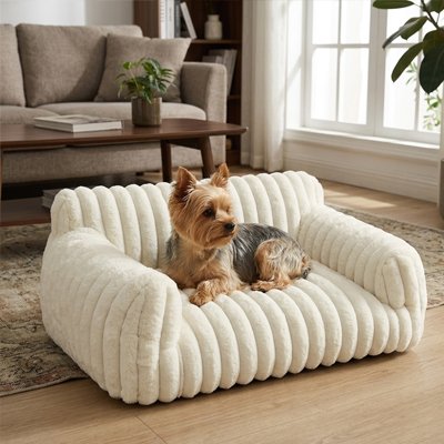yorky couché sur Canapé pour Chien