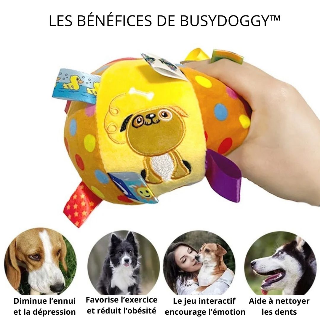 Balle interactive pour chien-BusyDoggy™ - Joli Toutou