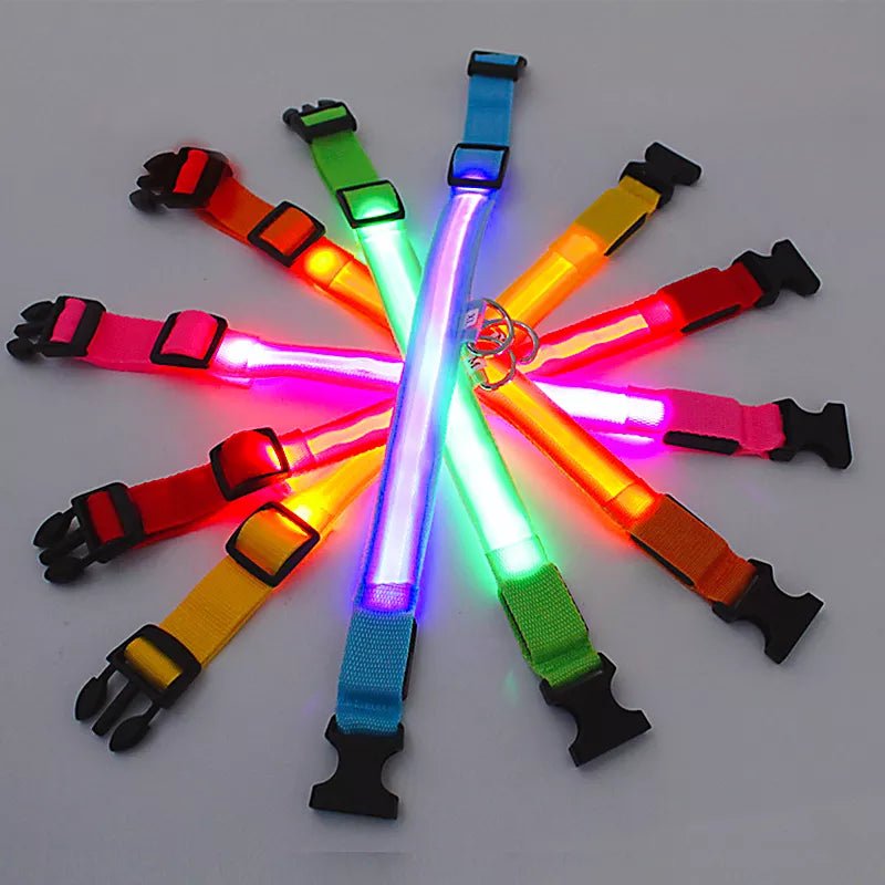 Collier lumineux pour chiens - Joli Toutou