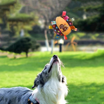 berger australien joue avec jouet pour chien dans un parc