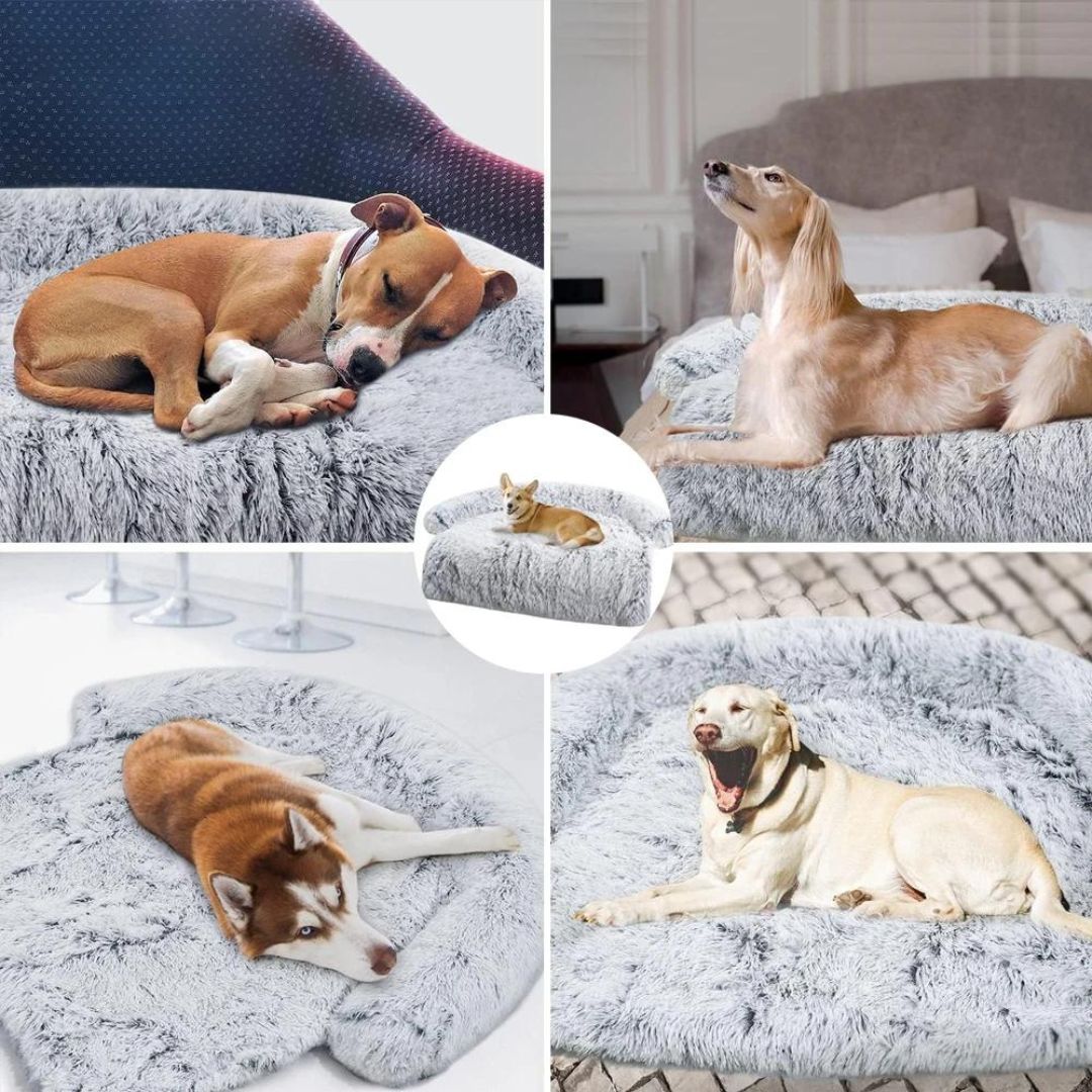 Lit confortable pour chien- Cosy Haven™ - Joli Toutou