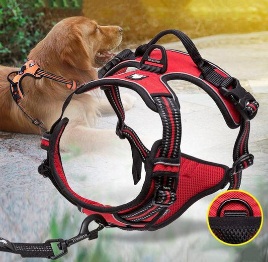 SafetyHarness™- Harnais pour animal de compagnie - Joli Toutou